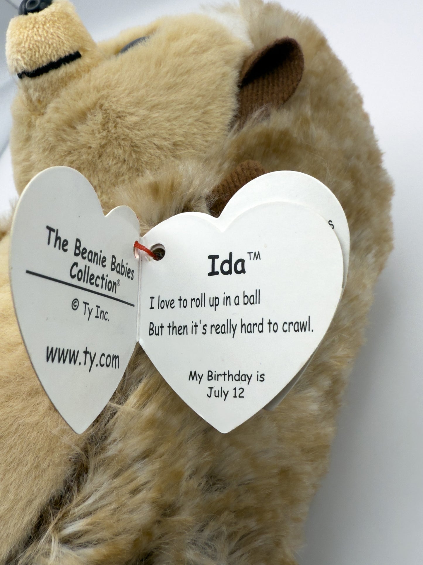 Ida
